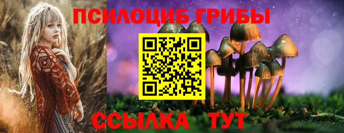 Галлюциногенные грибы Psilocybine cubensis  Галлюциногенные грибы мухоморы  Вход с VPN  Шелехов 