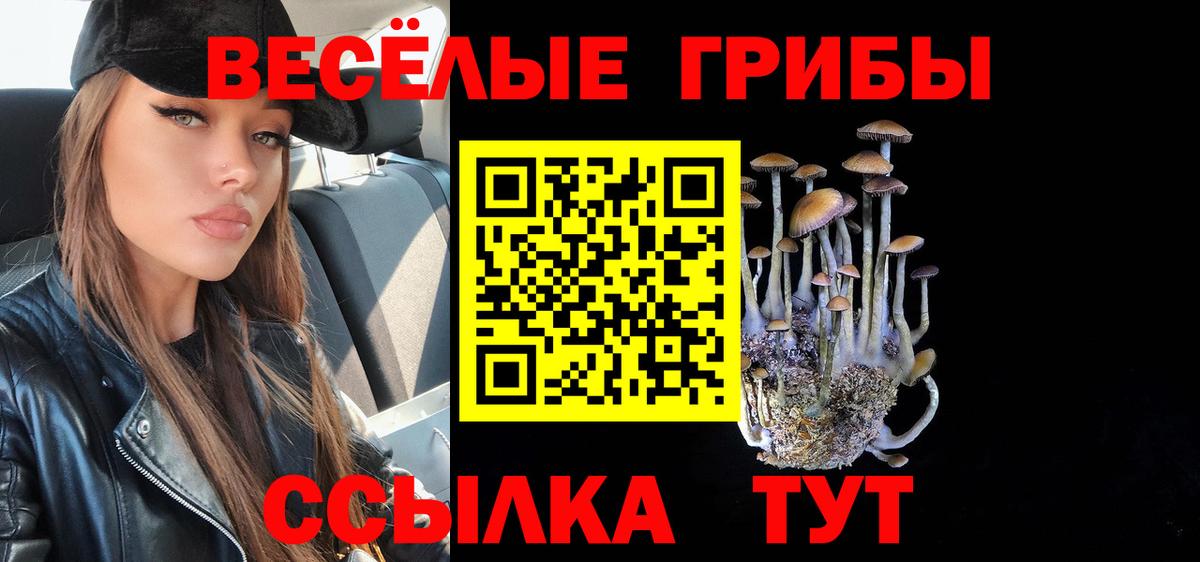 Псилоцибиновые грибы MAGIC MUSHROOMS Шелехов